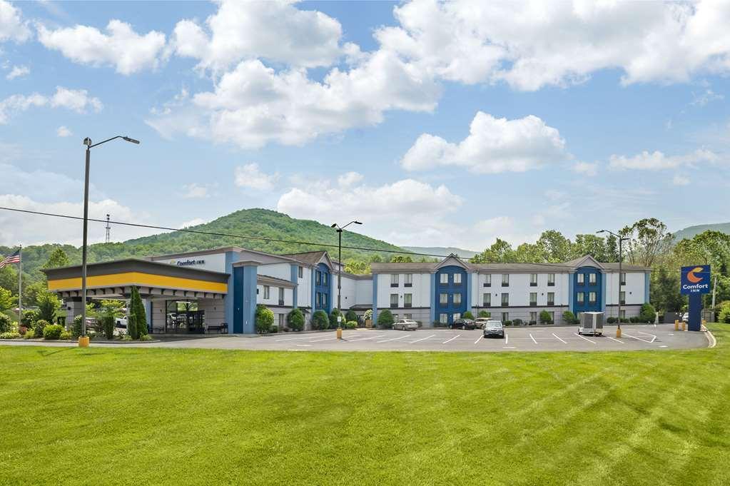 Comfort Inn Asheville East-Blue Ridge Pkwy Access Exteriér fotografie