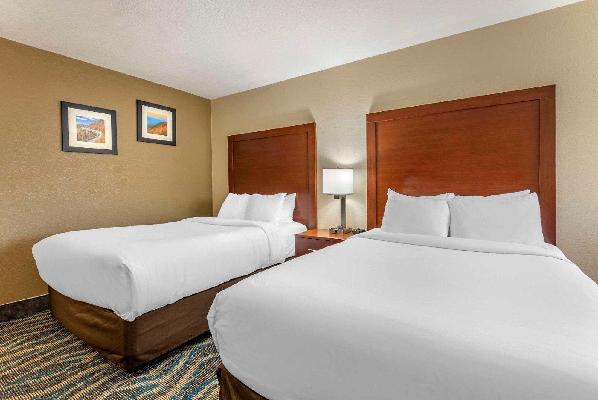 Comfort Inn Asheville East-Blue Ridge Pkwy Access Exteriér fotografie